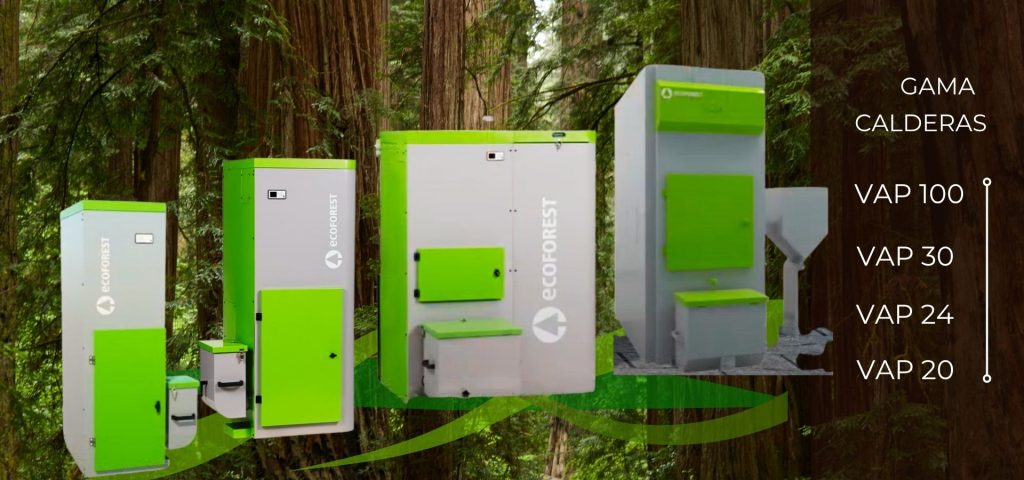 Sistema Biomasa Sistema Biomasa