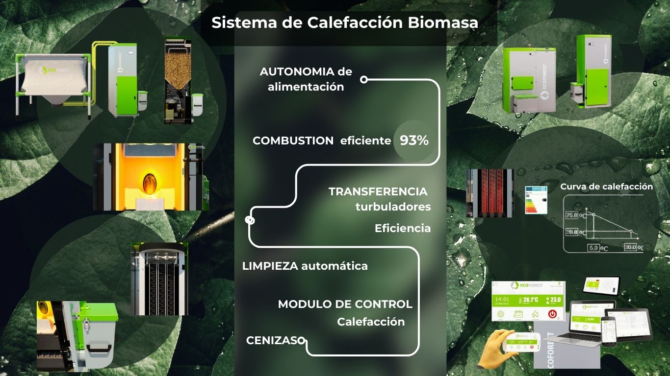 Slide Biomasa ultimo